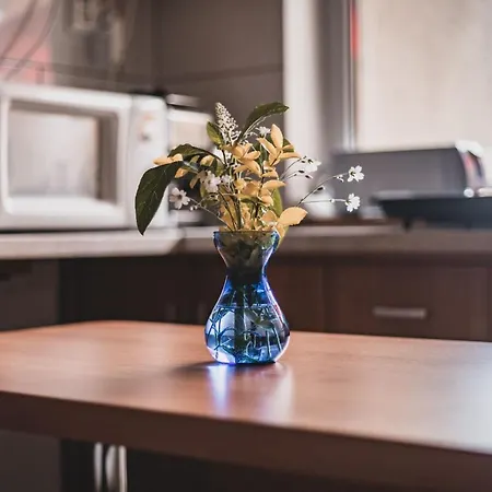 Pensjonat Primavera Vendegszobak *