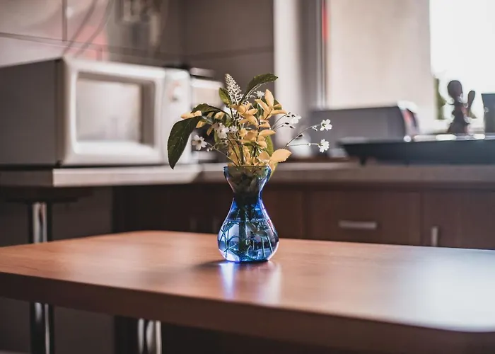 ゲストハウス Primavera Vendegszobak *